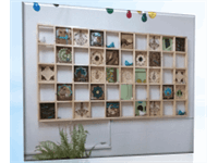 چرا هنرستان؟