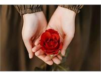 آقای محترم، همسر من می‌شوید؟!