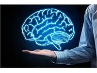 مغز ما عملا در ۱۵ ثانیه گذشته زندگی می‌کند!