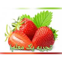 تجربه یک معلم شماره دو